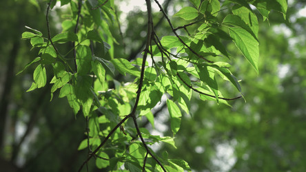 Similar image 22502459