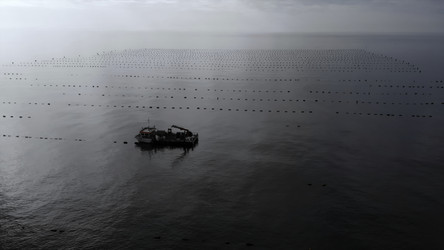 Similar image 22502627