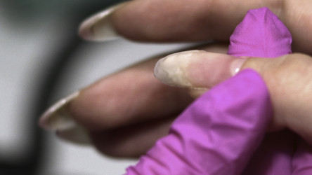 Similar image 22502732