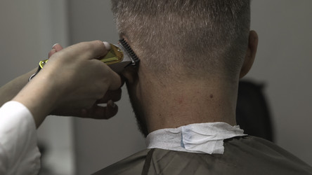 Similar image 22503032