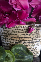 Similar image 22495101