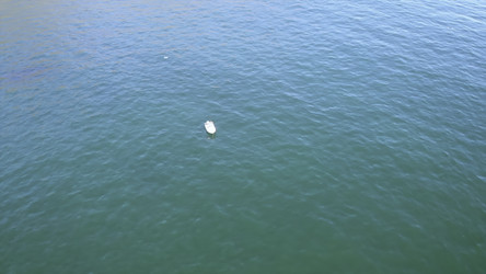 Similar image 22503234