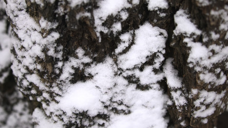 Similar image 22503277