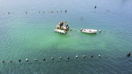 Similar image 22503278