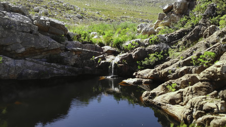 Similar image 22503306