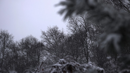 Similar image 22503321