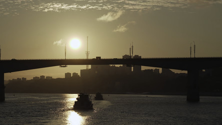 Similar image 22503386