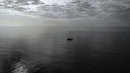 Similar image 22503387