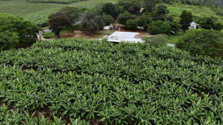 Similar image 22503419