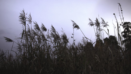 Similar image 22503448