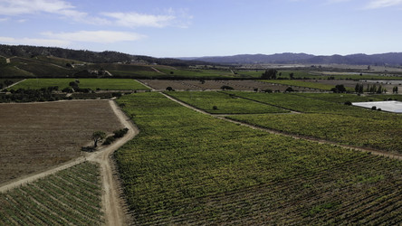 Similar image 22503582