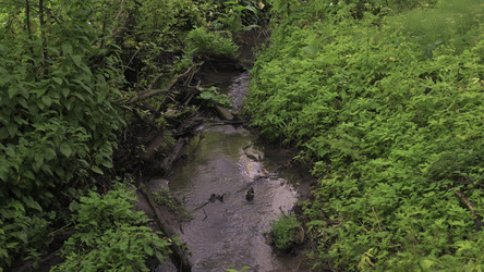 Similar image 22502027