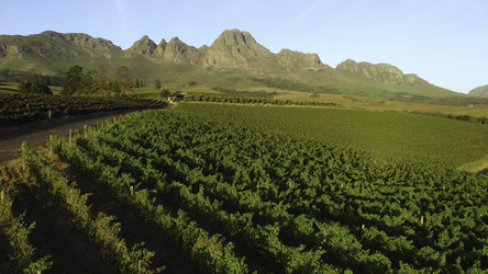 Similar image 22502164