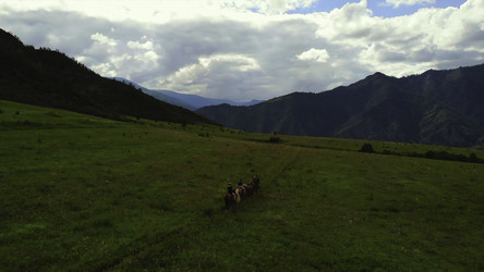 Similar image 22502450