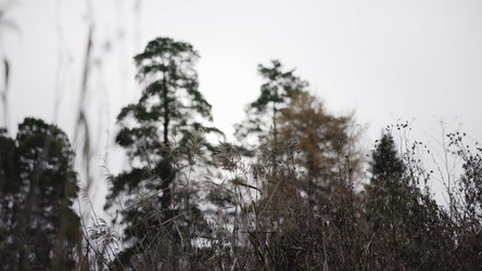 Similar image 22503033