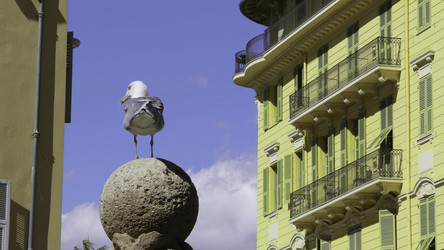 Similar image 22503046