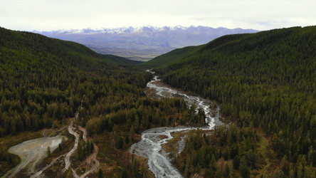 Similar image 22503059