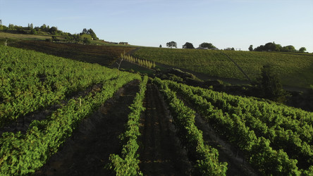 Similar image 22503178