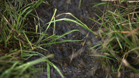 Similar image 22503209