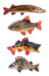 Similar image 22495223