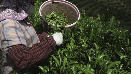 Similar image 22503370