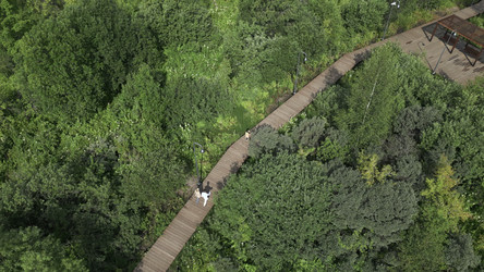 Similar image 22503371