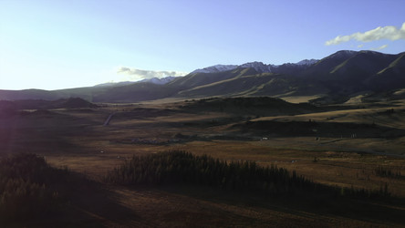 Similar image 22503388