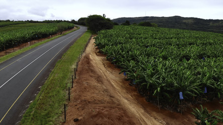 Similar image 22503478