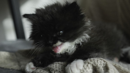 Similar image 22503536