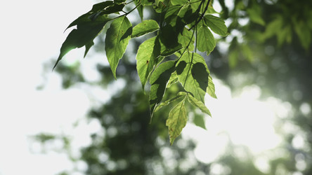 Similar image 22503570