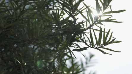 Similar image 22502434