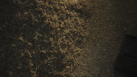 Similar image 22502598