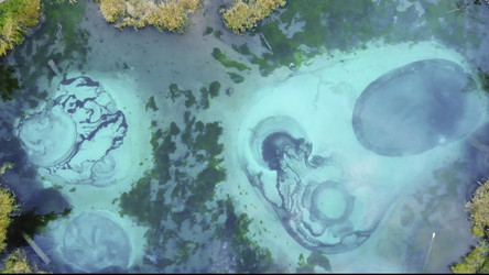 Similar image 22502629