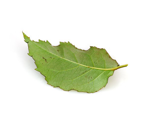 Similar image 22494955