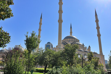 Similar image 22494252