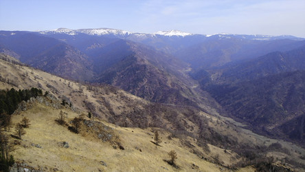 Similar image 22503252