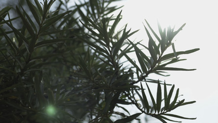 Similar image 22503267