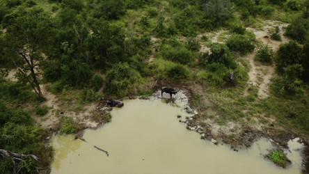 Similar image 22503311