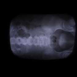 Similar image 22503390