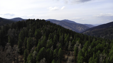 Similar image 22502105