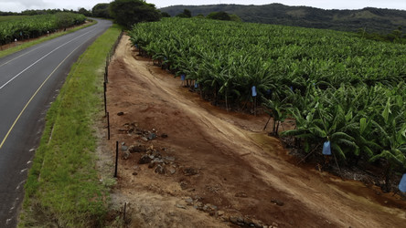 Similar image 22502209