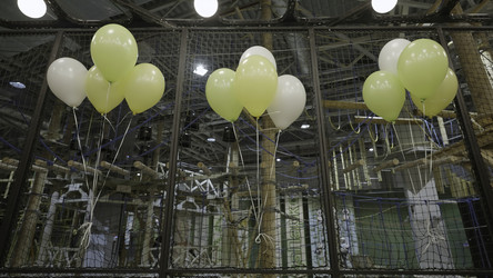 Similar image 22502343