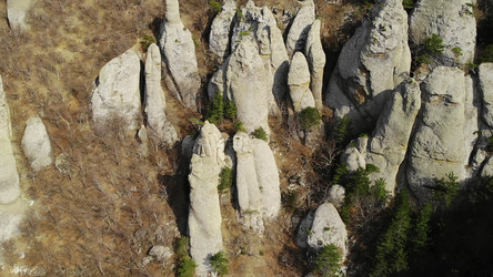 Similar image 22502358