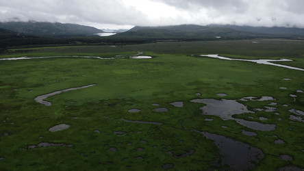 Similar image 22502359