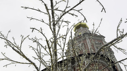 Similar image 22502494