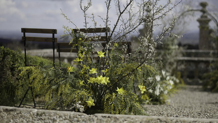 Similar image 22502540