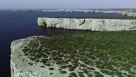 Similar image 22502644