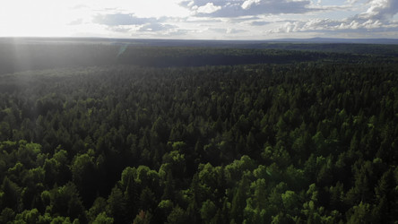 Similar image 22502821