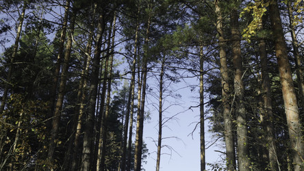 Similar image 22502973