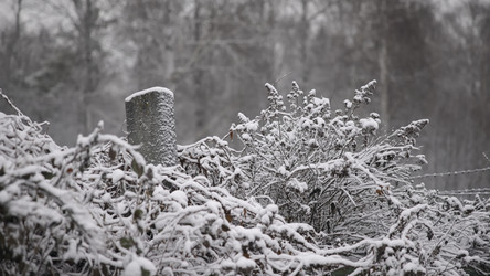 Similar image 22502988